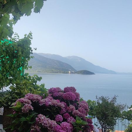 Villa Malezan Ohrid Exterior photo