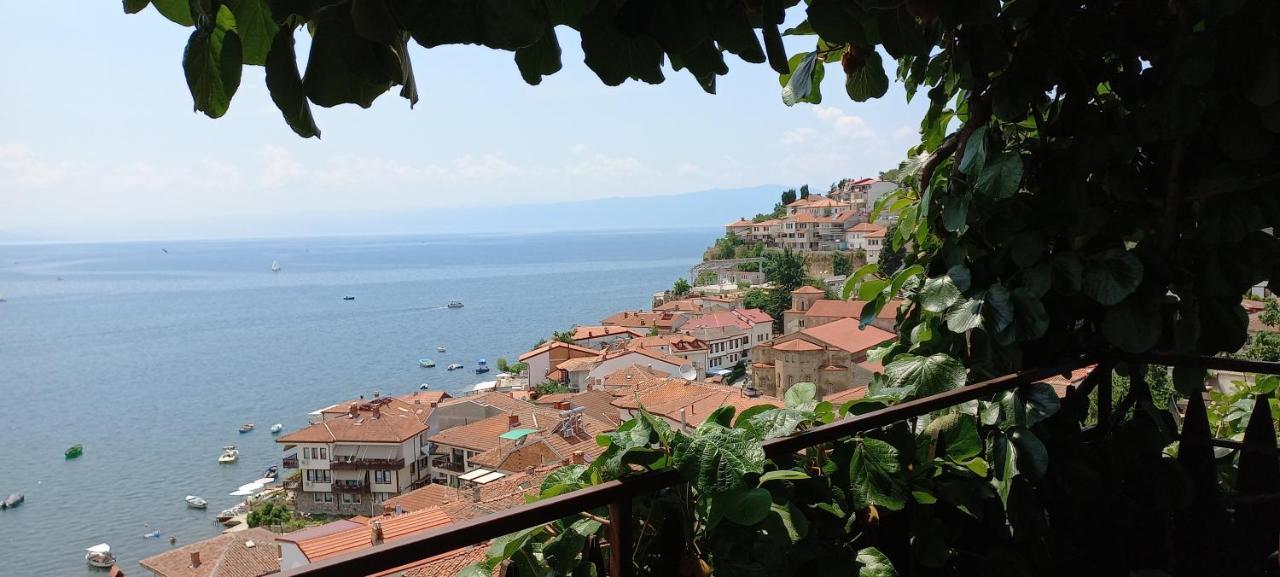 Villa Malezan Ohrid Exterior photo